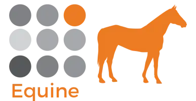 custom plex analytes for equine / horse samples