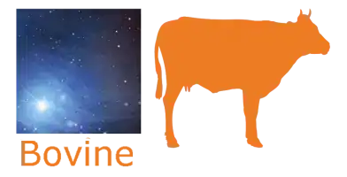 discovery assays array for bovine / cow samples