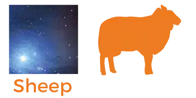 discovery assay arrays for sheep samples